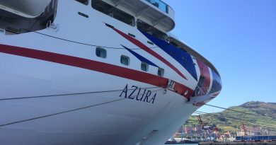 reviews on cruise ship iona