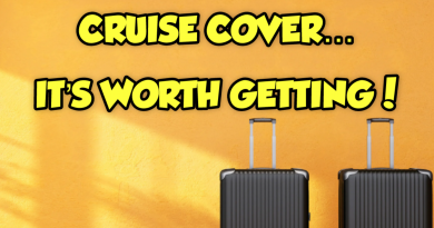 Cruise Cover - It's worth getting!